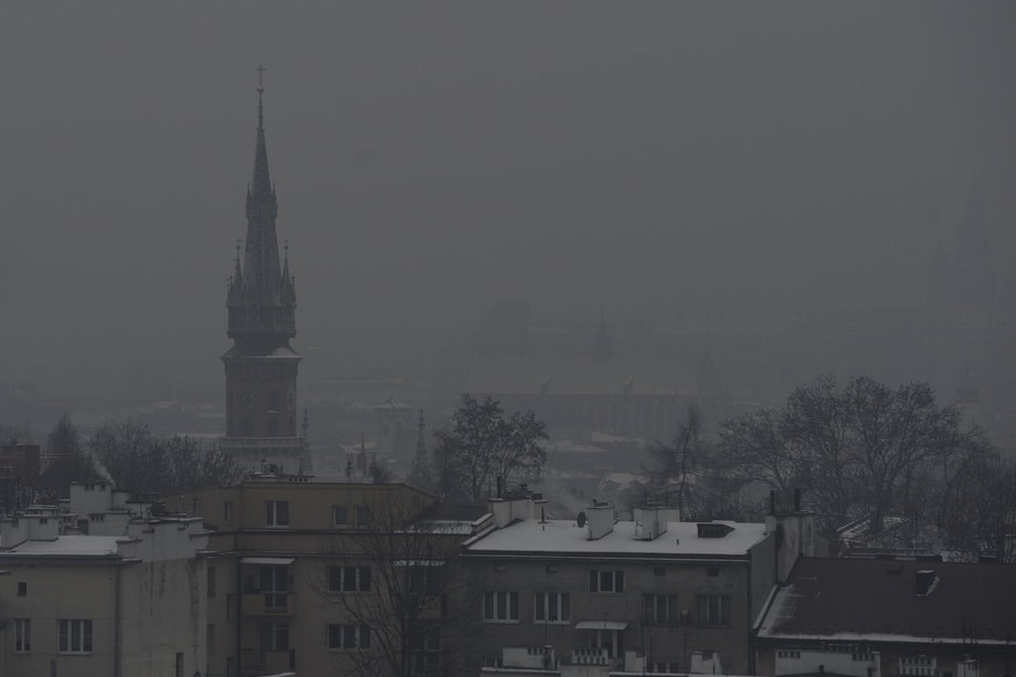Smog w Krakowie, styczeń 2016 roku