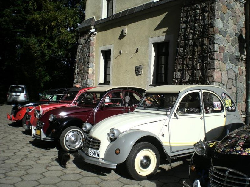 Klasyki francuskiej motoryzacji. Citroeny na Placu Wolności w Poznaniu