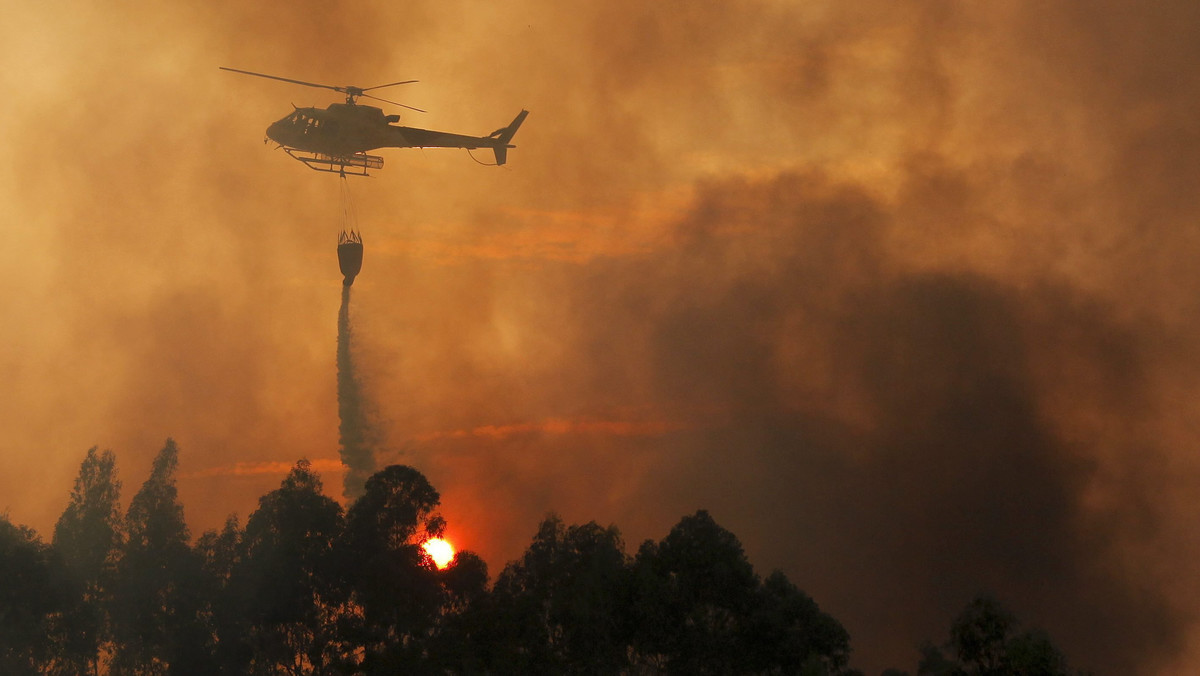 PORTUGAL FOREST FIRE (Forest fire in Pedrogao Grande)