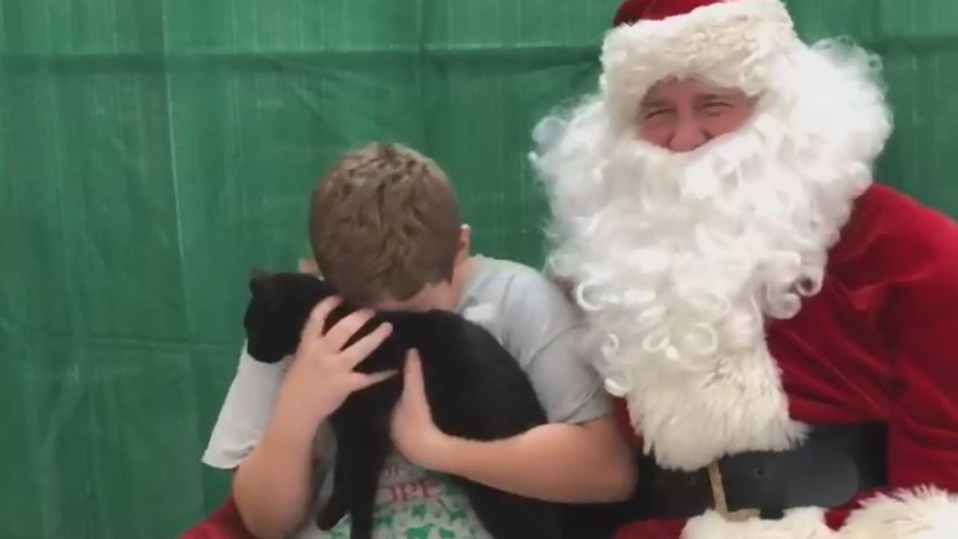 Bírd ki sírás nélkül! Így reagált a kisfiú a Mikulástól kapott cicára – VIDEÓ