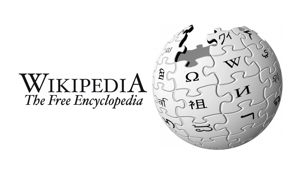 Liczba haseł w polskojęzycznej Wikipedii przekroczyła milion. Polską wersję tej encyklopedii, którą może edytować każdy, odwiedza miesięcznie 10 mln użytkowników, dzięki czemu to jedna z 10 najbardziej popularnych witryn w Polsce.