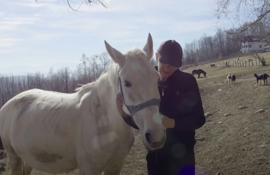 Amer na svom imanju ima preko 500 životinja
