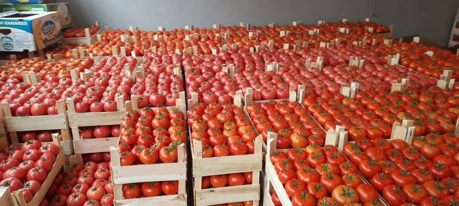 Gazdinstvo Petković