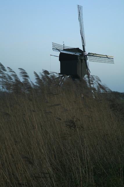 Galeria Holandia - Kinderdijk, obrazek 18