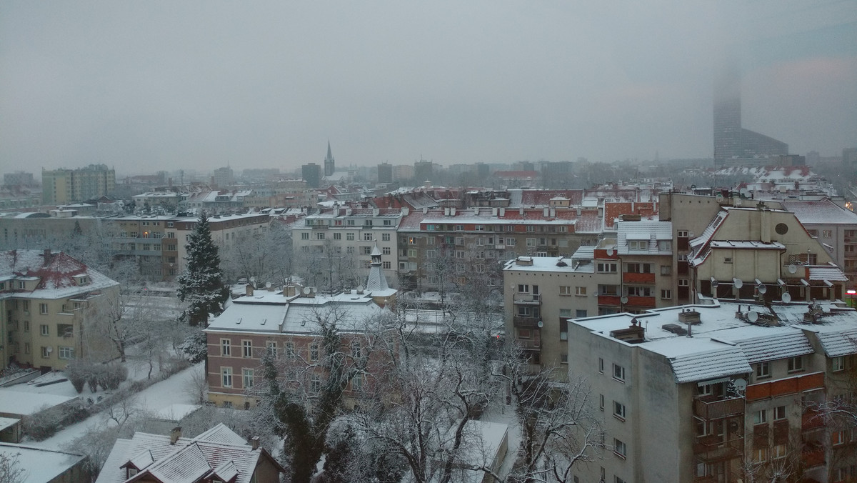 Przedstawiciele kampanii antysmogowej "Nie Rób Dymu" w specjalnym oświadczeniu odnieśli się do słów wiceprezydenta Wrocławia. W rozmowie z Onetem Wojciech Adamski stwierdził, że kominki domowe są bardziej trujące niż najgorsze piece. Zdaniem aktywistów, sprawa nie jest taka oczywista, bo wszystko zależy od tego, czym pali się w kominkach.