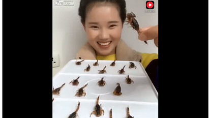 Gyomorforgató: csótányokat és skorpiókat eszik reggelire egy fiatal nő – videó