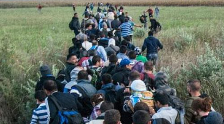 Jönnek! Szerdára érkezhet a magyar határhoz a több ezer menekült