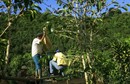 2010-02-22T173522Z_01_CRI03_RTRIDSP_3_COSTARICA-COFFEE.jpg