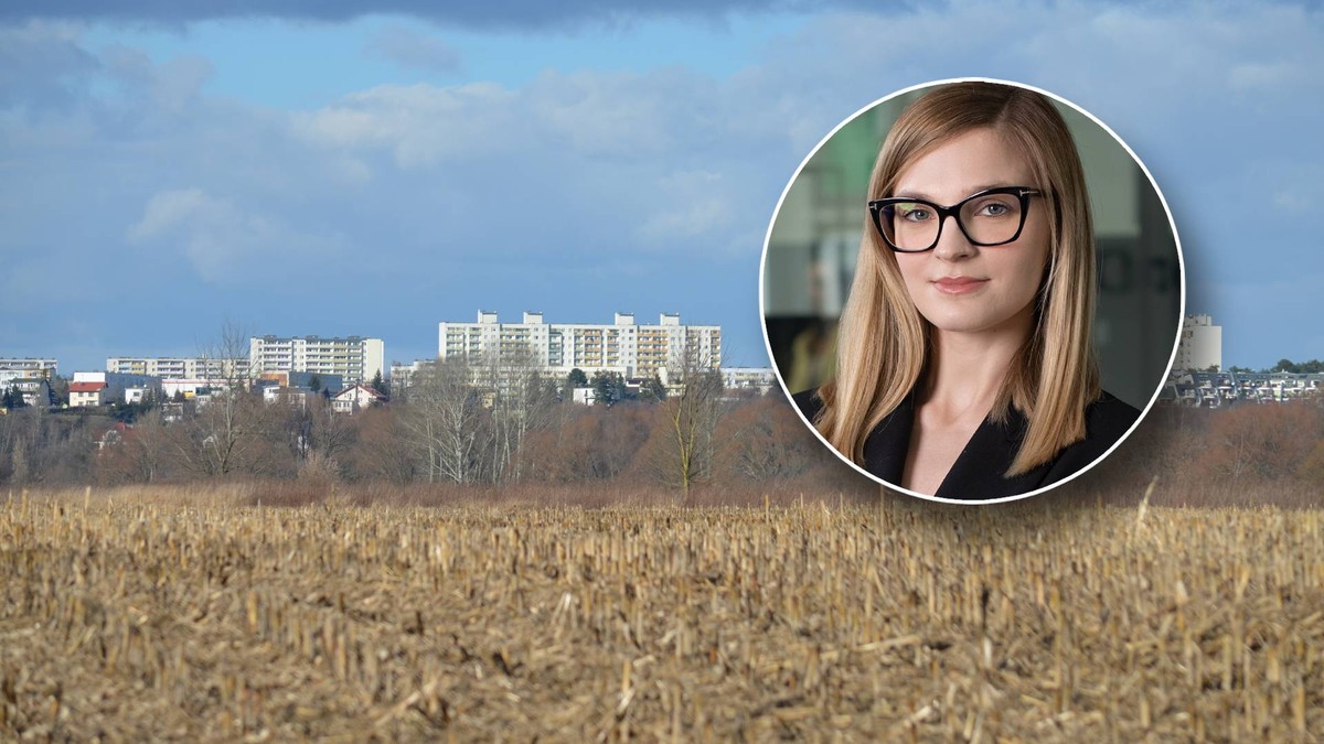 "Wuzetkowy" wyścig z czasem. O co chodzi z wydłużeniem terminu na plany ogólne?