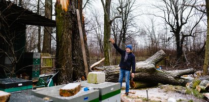 Wichura zabrała im dom. Pomóżmy zwierzakom z chorzowskiego schroniska