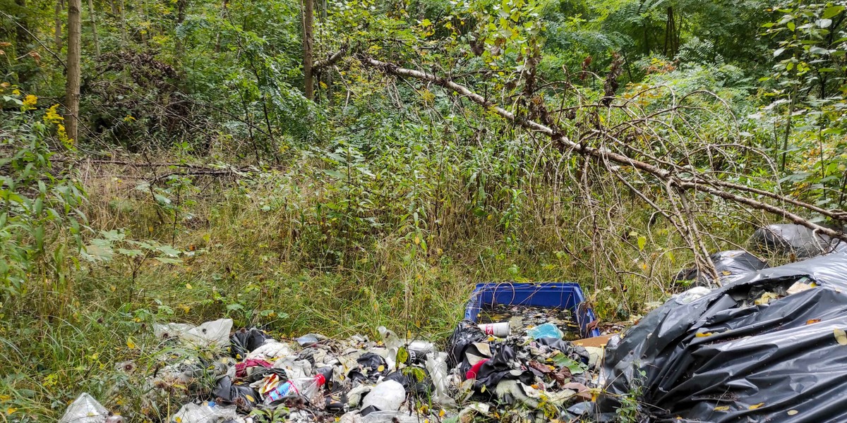 Fakt porzucenia śmieci będzie można zgłosić przez aplikację.