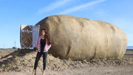 72 ezer forintba kerül egy éjszaka a fürdőszobával, kandallóval, légkondival felszerelt krumpliházban – fotók