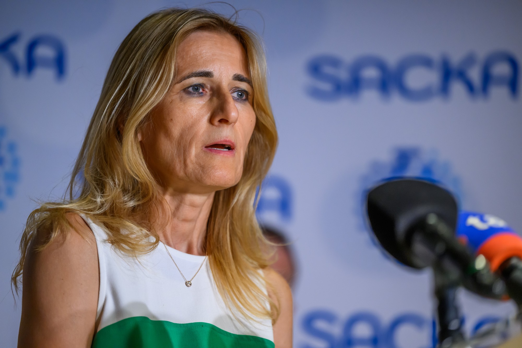 Na snímke poverená riadením Slovenskej asociácie cestovných kancelárií a cestovných agentúr Ľudmila Masariková.