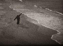 "Odgłosy robaków - zapiski mumii"