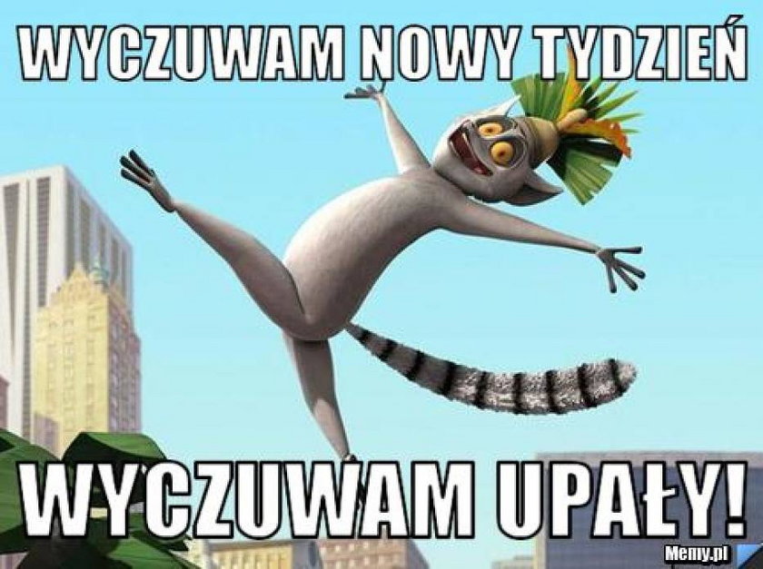 Najlepsze memy o upałach!