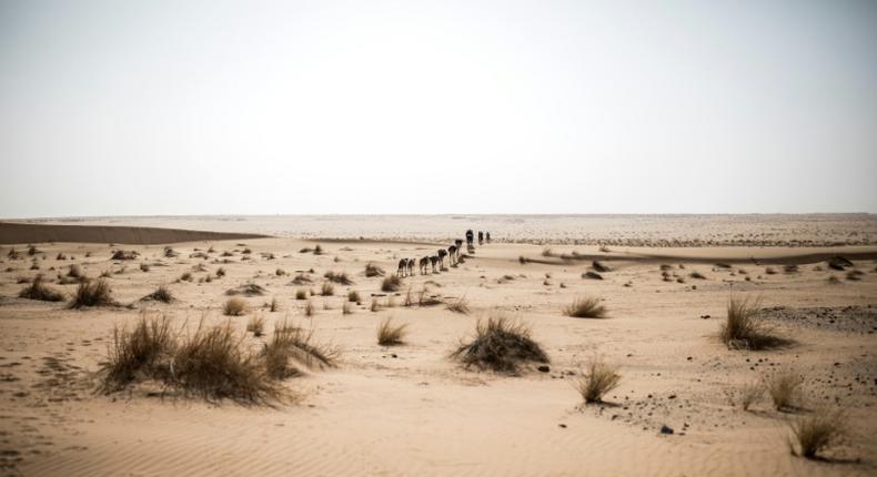 Lone and level sands: The Sahara