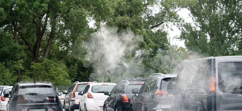 Nowe naklejki uprawniające do wjechania do strefy czystego transportu już od 12 września