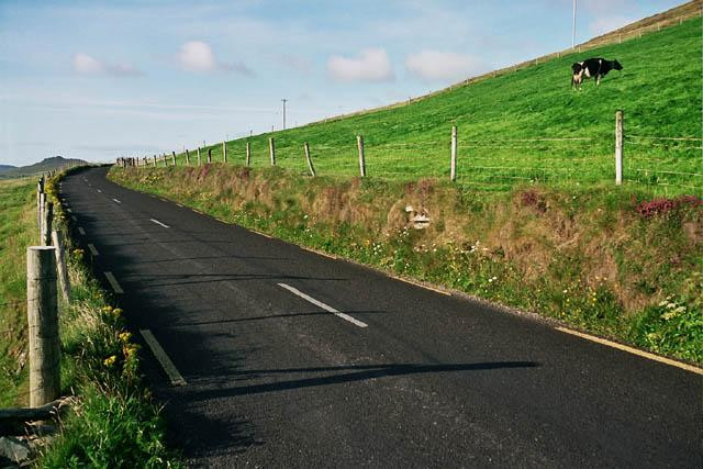 Galeria Irlandia - "dziki zachód", obrazek 23