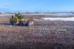 Plastikowe słomki niszczą środowisko. Zobacz, jak bardzo