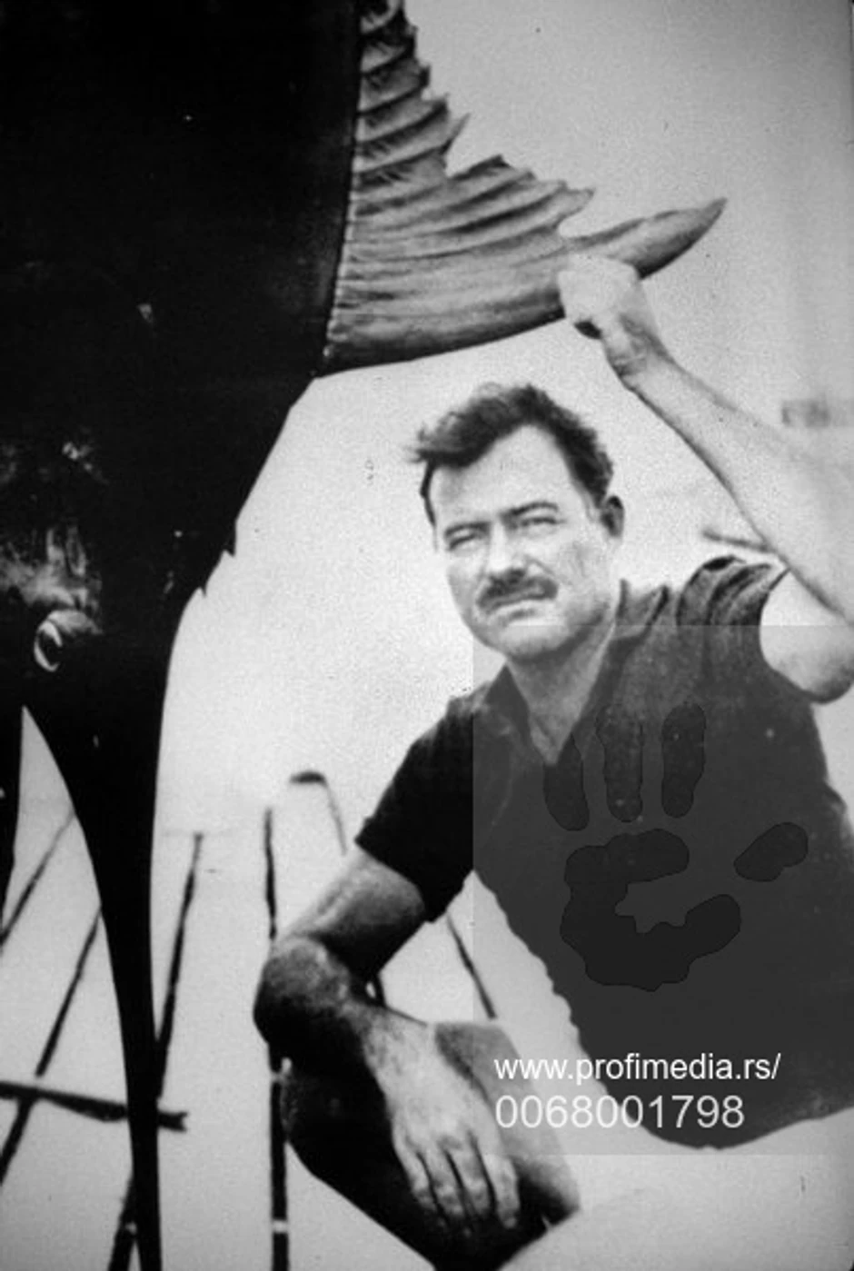 Ernest Hemingvej
