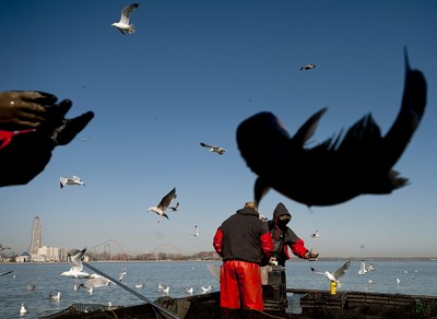 Konflikt o połowy na wodach wyspy Jersey. KE do Francji i Wielkiej Brytanii: 'Uspokójcie się'