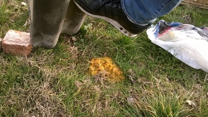 Kreozan ili "žuti prašak" kod otrovane životinje izaziva

blokadu rada srca