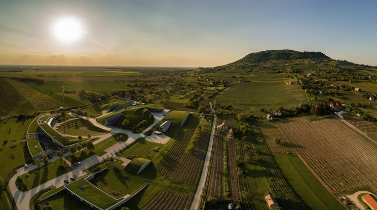 A Balatoni borrégió legészakibb részén, a Kisalföld keleti határán találjuk az alig 431 hektár termő szőlővel rendelkező Nagy-Somlói borvidéket, amely országunk legkisebb és egyik legkülönlegesebb borvidéke / Fotó: Shutterstock
