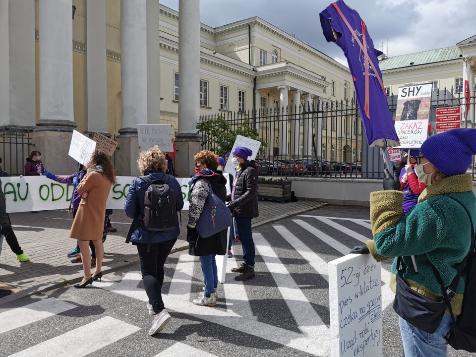 Protest wolontariuszy ze schroniska "Na Paluchu"