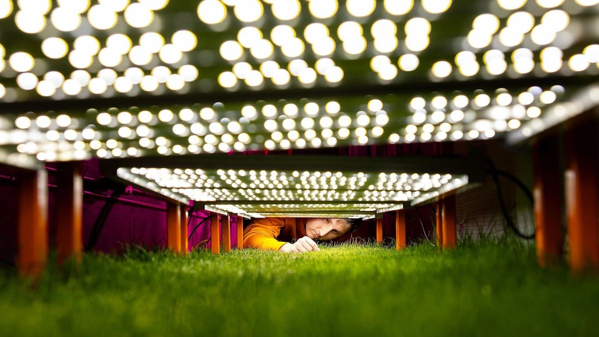BBC | Foto: Steven Bridges/University of Tennessee