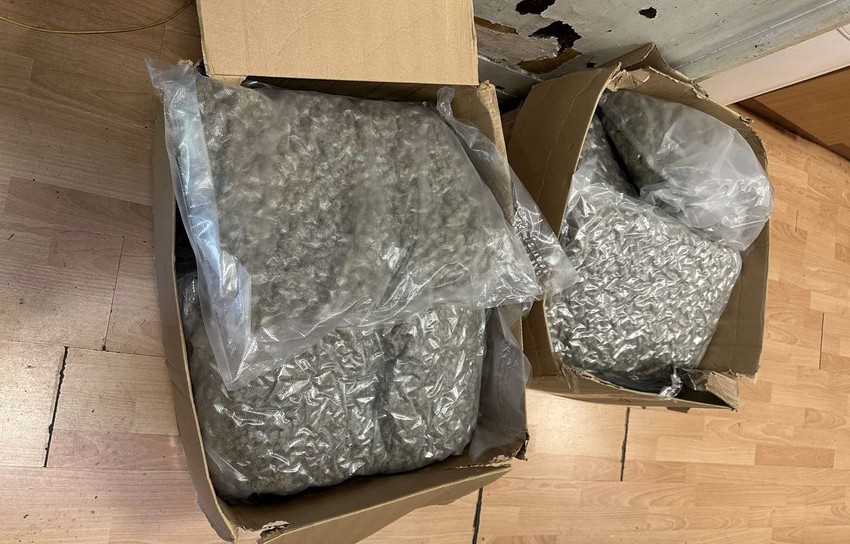 Marihuana koja je pronađena u Alenovom stanu u Zemunu