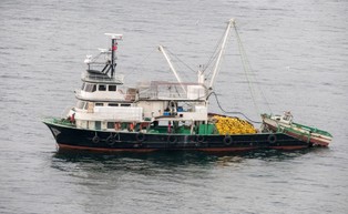 Wielka Brytania: to od Francji zależy rozwiązanie sporu o prawa do połowów