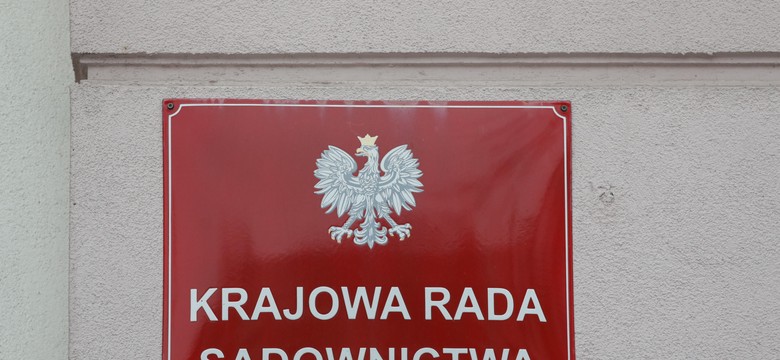 "Skarbiec bez dna". Przymusiński: KRS stała się maszynką do zarabiania pieniędzy