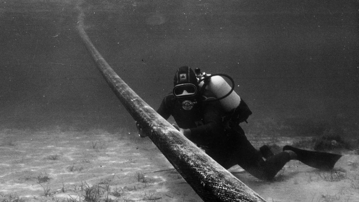 Meta anunță Petal, cel mai rapid cablu submarin din lume: conexiunea transoceanică de 1 petabit pe secundă care poate transfera 30.000 de filme într-o singură secundă