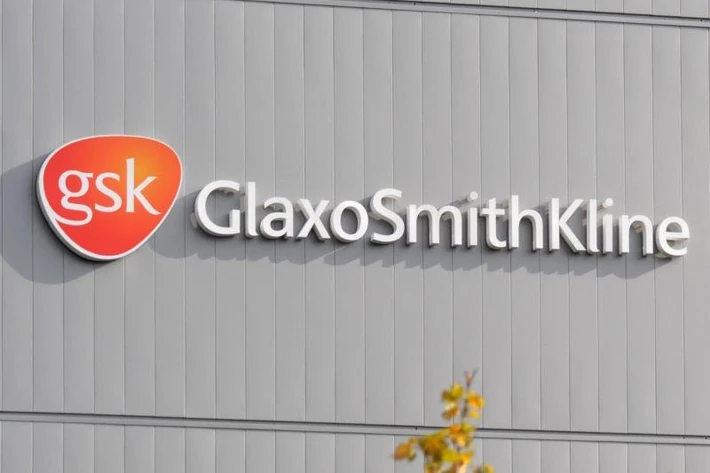 12. GlaxoSmithKline