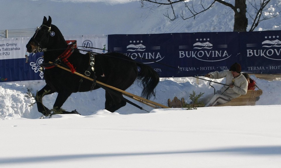 Kumoterska Gońba w Bukowinie Tatrzańskiej