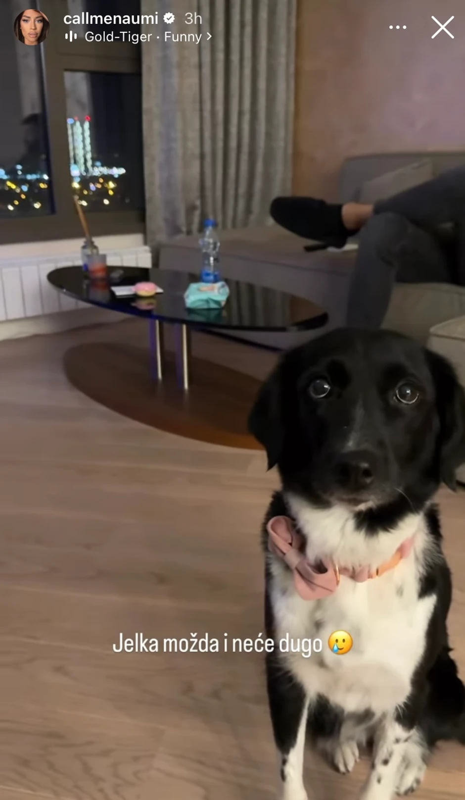 Mina i Ognjen ukrasili stan