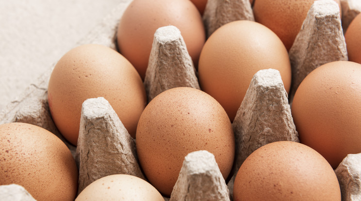 A tojást méltán nevezik óriás vitamintablettának, ásványi koktélnak, hiszen a csontritkulás megelőzésében kulcsfontosságú D-vitamin a tőkehalmáj után a tojásban található meg a legnagyobb mennyiségben. Tartalmazza még a bőrvitaminként is emlegetett A-vitamint, az antioxidáns hatással bíró E-vitamint, valamint a létfontosságú B-vitaminokat, folsavat és pantoténsavat. Az ásványi anyagok közül kalciumban, vasban, magnéziumban, cinkben, káliumban és foszforban, valamint nátriumban bővelkedik. / Fotó: Getty Images