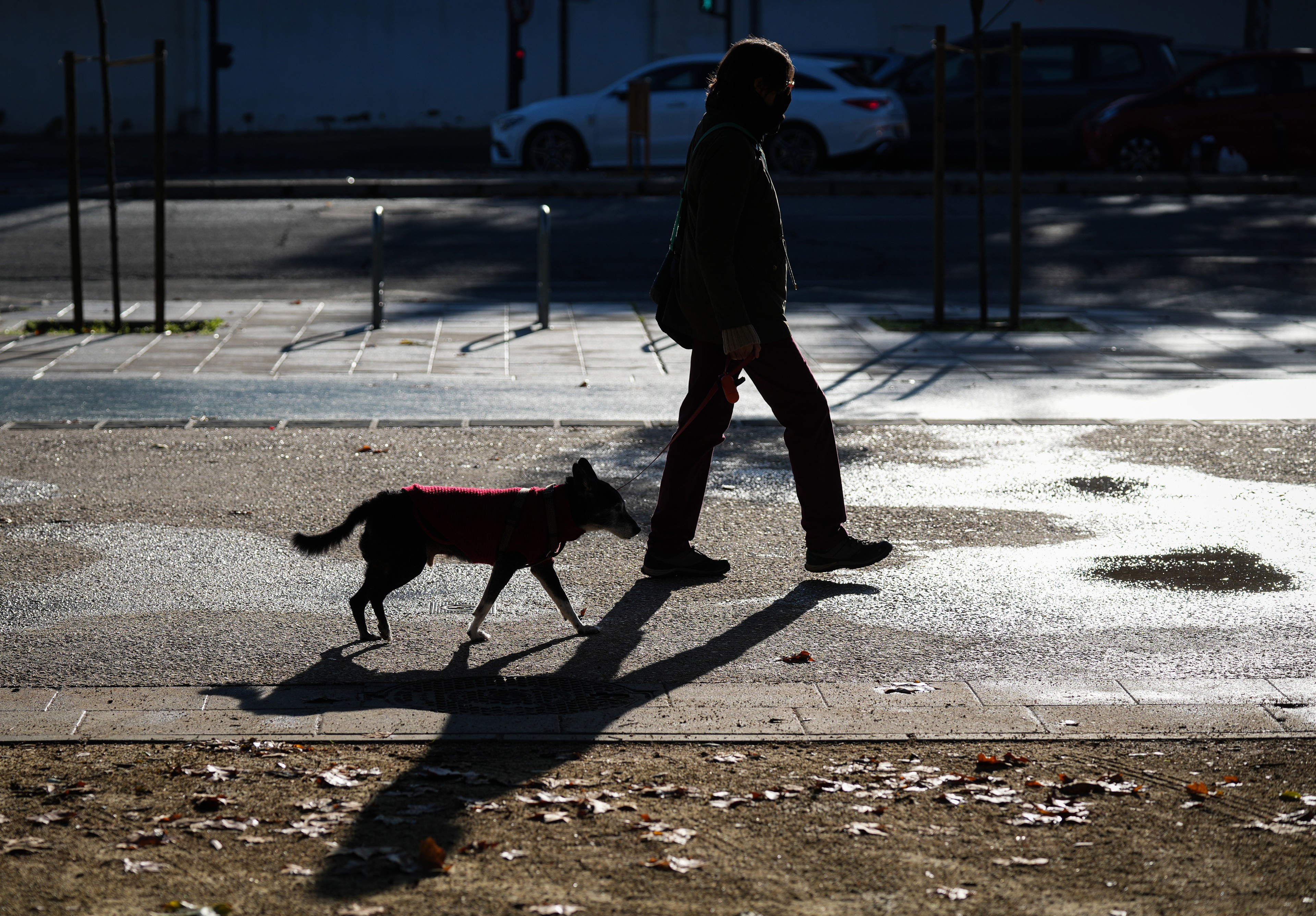 Hasta -8°C en España: alerta por el frío extremo y nieve en doce provincias