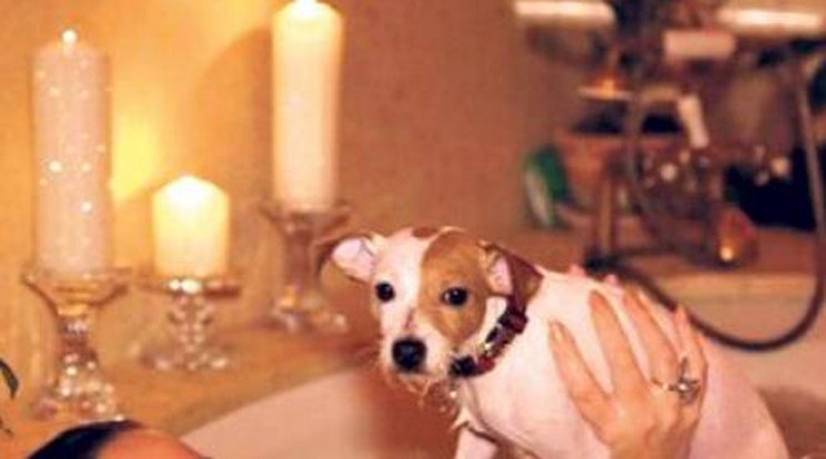 Kutyájával fürdőzött  Mariah Carey