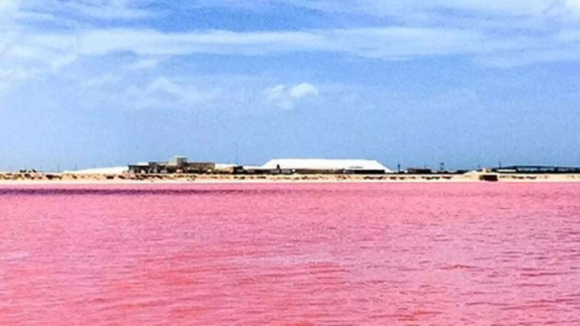 Bajeczna laguna z różową wodą to hit tych wakacji. Jej kolor podbił nasze serca