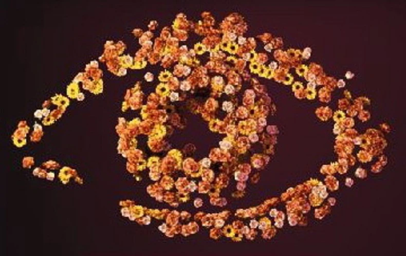 328179_velikibrat4logo