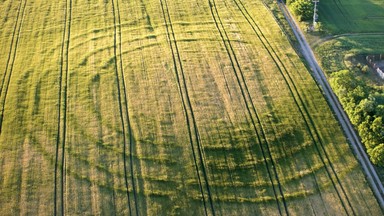 Archeolodzy rozpoczęli badania kręgów sprzed 7 tys. lat w Nowym Objezierzu