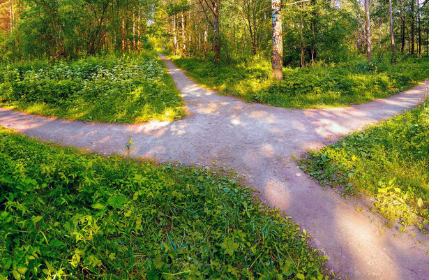 W niedzielę nad większością kraju temperatury do 20 stopni. PROGNOZA POGODY