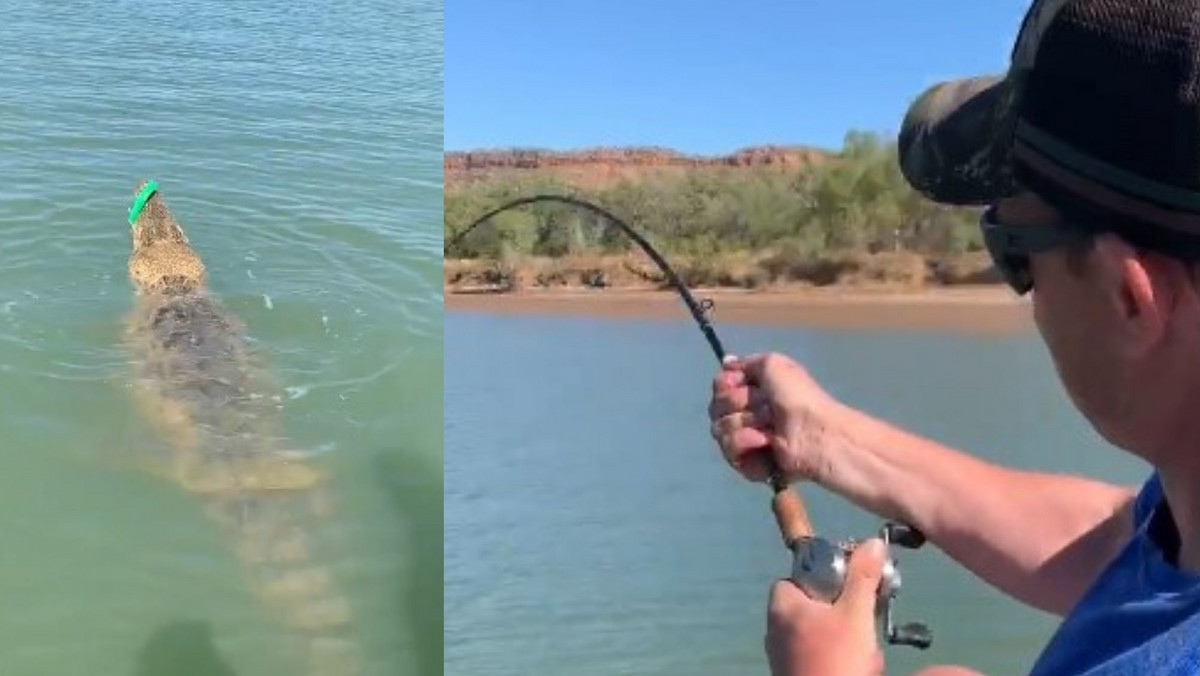 Australia: Wędkarz myślał, że złowił dużą rybę. Okazało się, że to... krokodyl