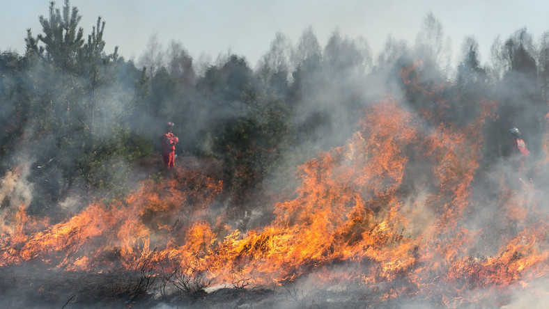 Ostatniej doby na terenie Mazowsza doszło do 105 pożarów traw oraz do 23 pożarów w lasach - poinformował w sobotę rzecznik mazowieckiej PSP mł. bryg. Karol Kierzkowski. Od początku roku mazowieccy strażacy odnotowali już ponad 2,2 tys. pożarów traw.