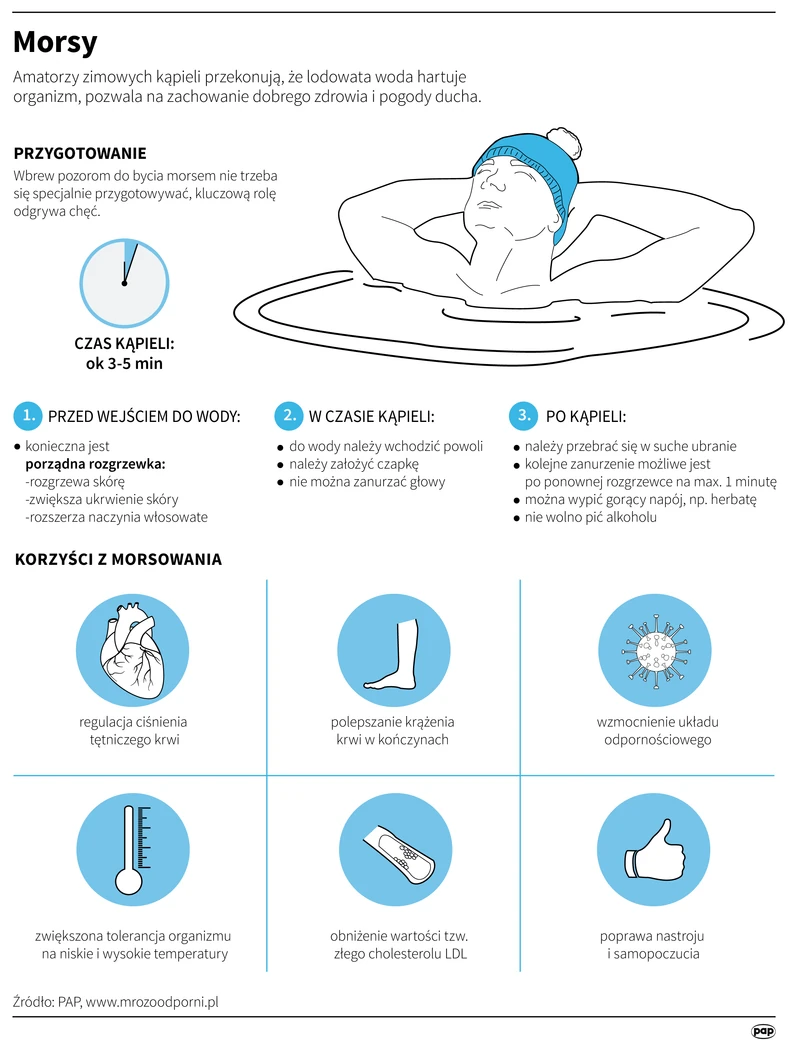 Morsy - infografika