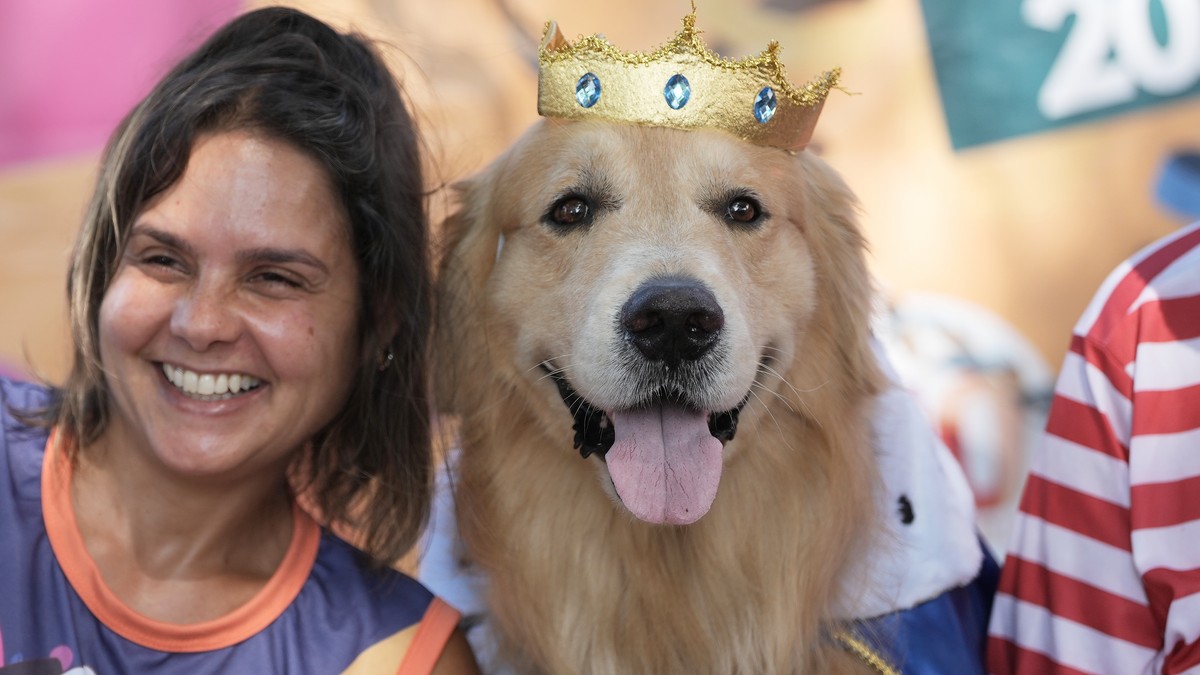 OVI LEPOTANI ĆE VAM ULEPŠATI DAN! Na karnevalu u Riju održana ulična zabava za pse i njihove vlasnike: "Oni su deo naše porodice" (FOTO)  Kép