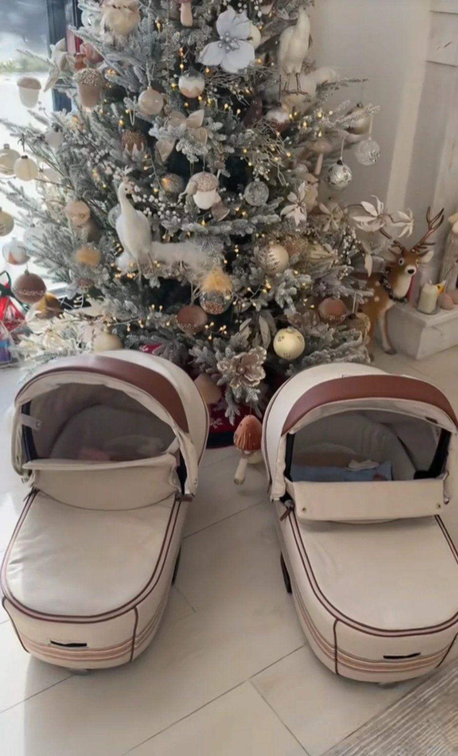 Branko Babić pokazao poklone za blizance