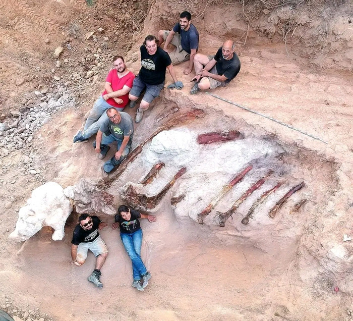 W Portugalii odkryto szkielet być może największego dinozaura Europy