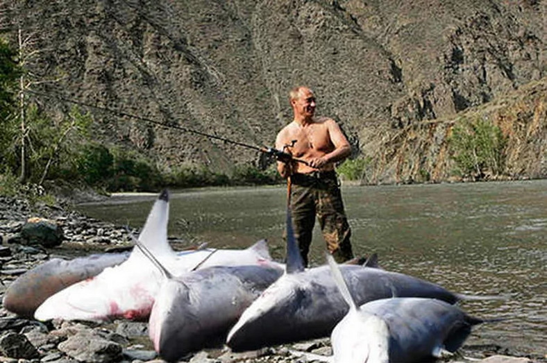 Jeden z wielu memów internetowych żartujących z promowania przez propagandę wizerunku Putina "twardziela"